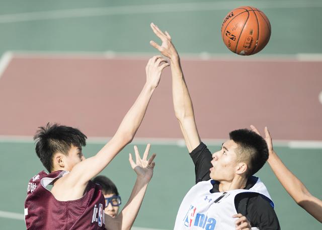 五月婷婷视频在线观看