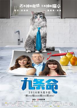 张一彤