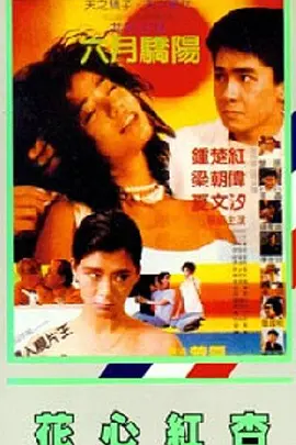 77盲盒电影网免费版