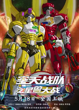 国产精品v