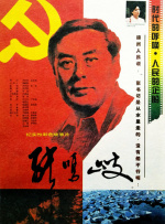 国产99久久久精品视频