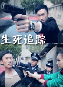 翔宇公棚赛鸽公棚春棚