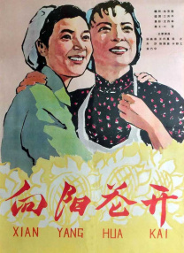 美剧顶级生活